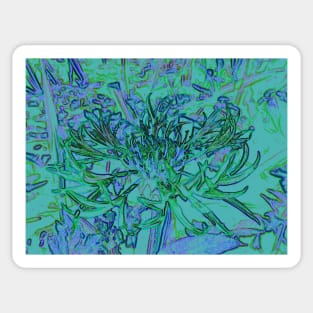 Cornflower Sticker